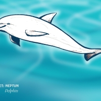 krafttier delphinfarbe